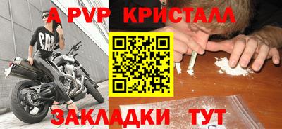 гашик Донской