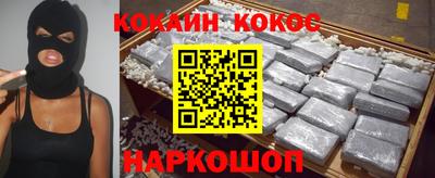 гашик Донской