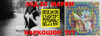 гашик Донской