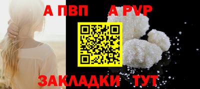 гашик Донской