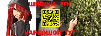 гашик Донской