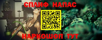 гашик Донской