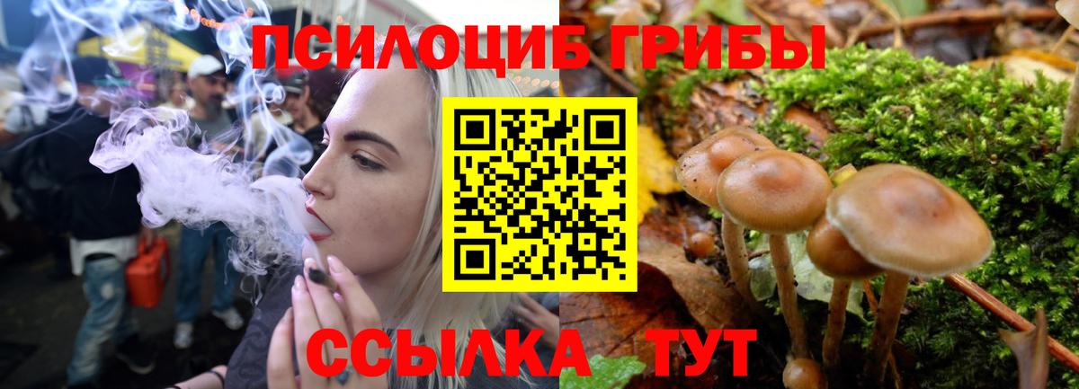Галлюциногенные грибы MAGIC MUSHROOMS  где найти наркотики  Москва  Вход с VPN 