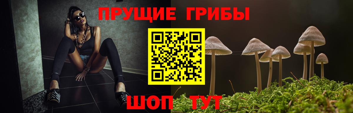 Псилоцибиновые грибы прущие грибы Москва